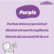 Deo wc 24h Asevi PURPLE 200ml 
