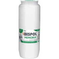 WO11 A Bispol Memoria 144H/16B/1536P